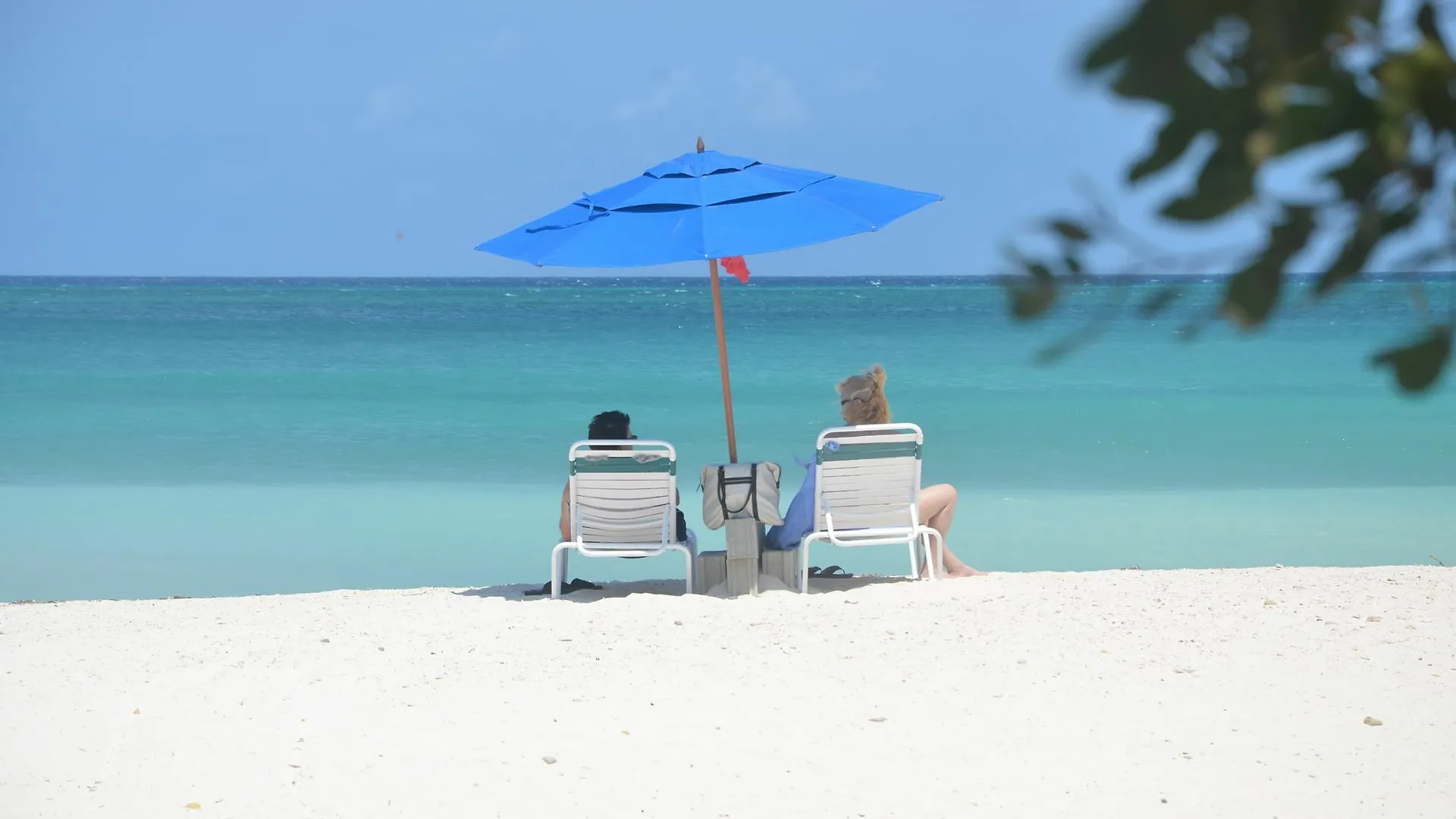 Blue Residences Palm Beach