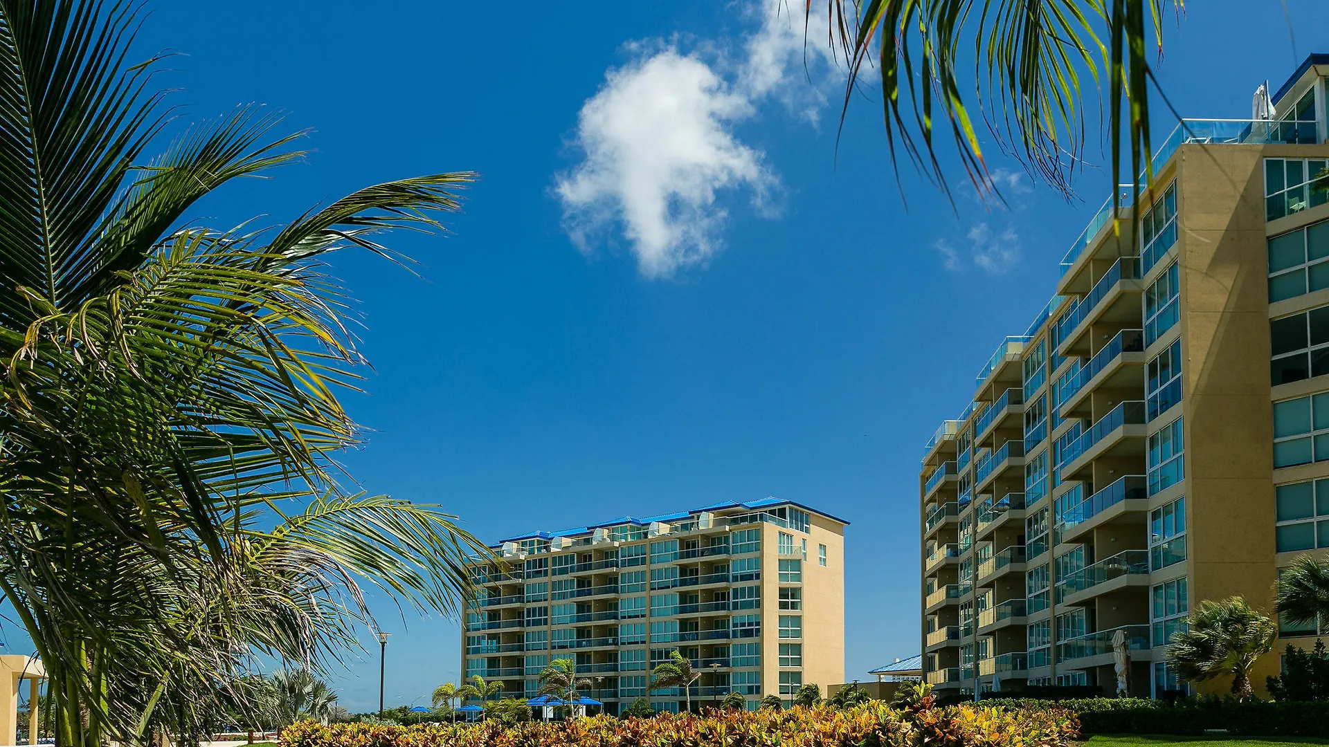 Blue Residences Palm Beach Aruba